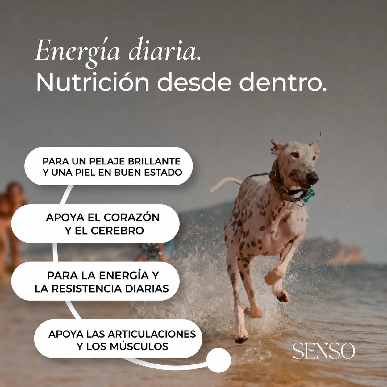 Harina de krill antártico — imagen 2