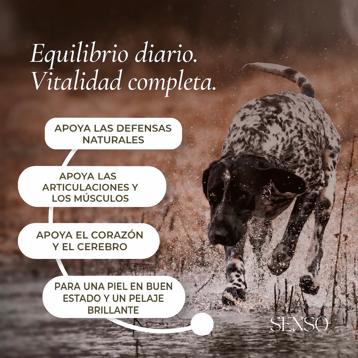 Balance Blend — imagen 2