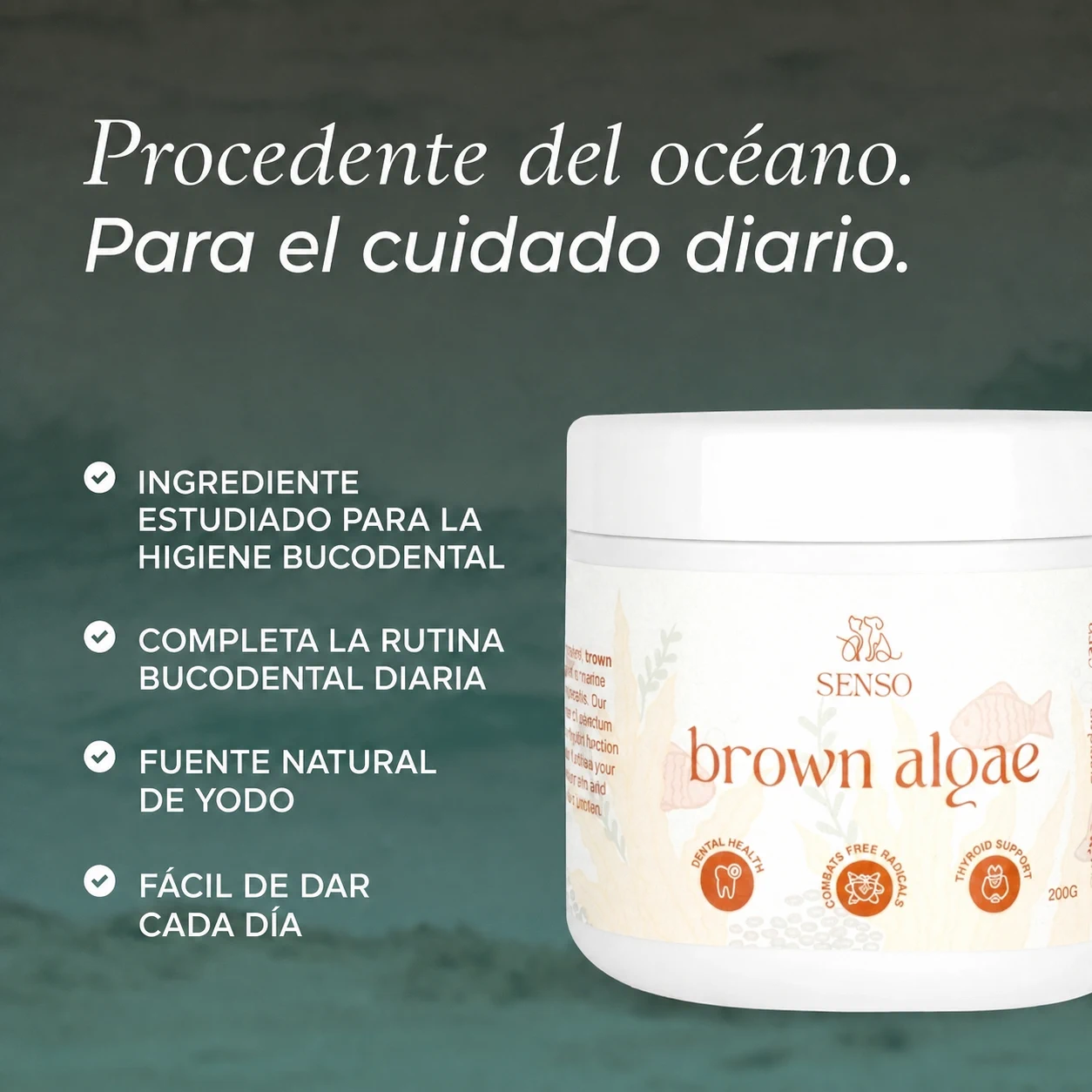 Algas pardas — imagen 4