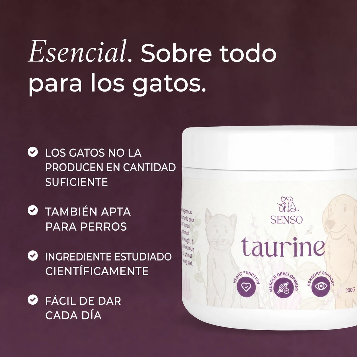 Taurina — imagen 4