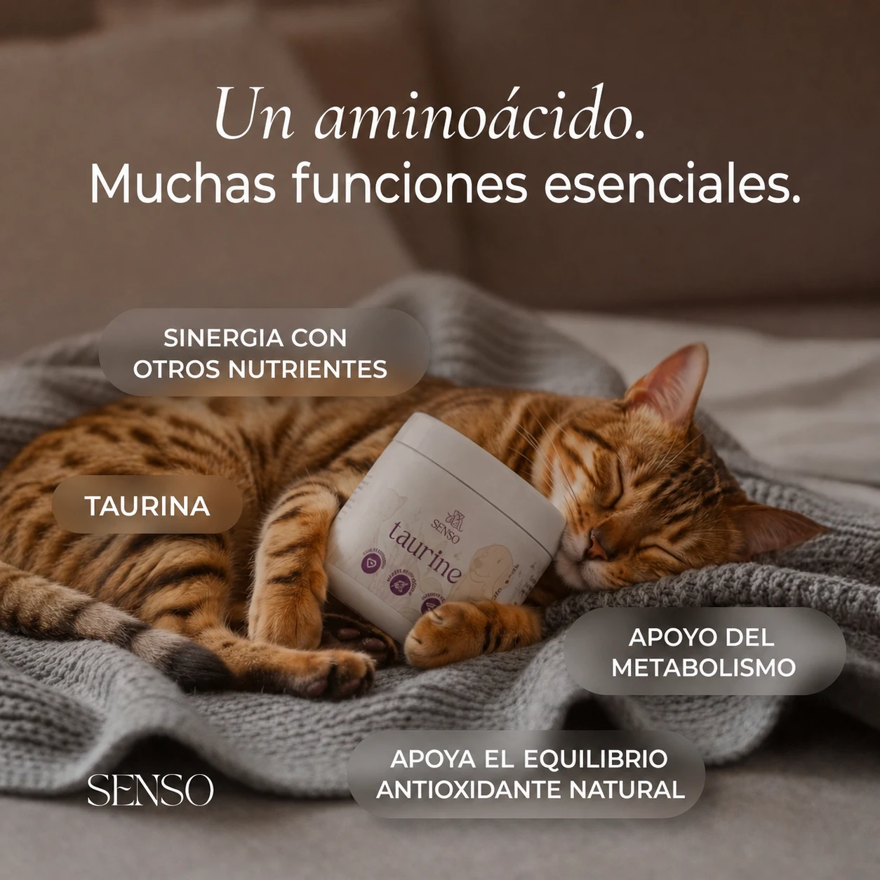 Taurina — imagen 5